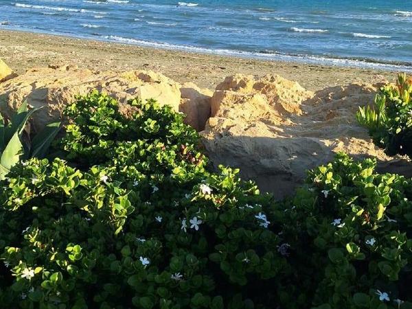 4 bedroom detached house for sale softades larnaca 1839488 image 16127935
