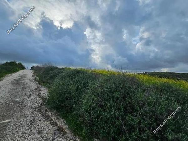 land for sale kato arodes paphos 8399488 image 17043602