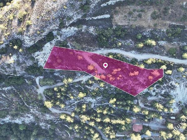 land for sale pera pedi limassol 1650488 image 15007001