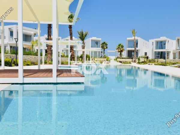 3 bedroom detached house for sale coral bay paphos 7816588 image 10654840