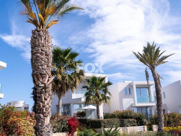 3 bedroom detached house for sale coral bay paphos 7816588 image 10654851