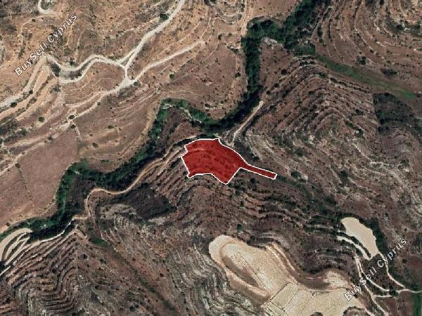 land for sale pachna limassol 954688 image 15603507