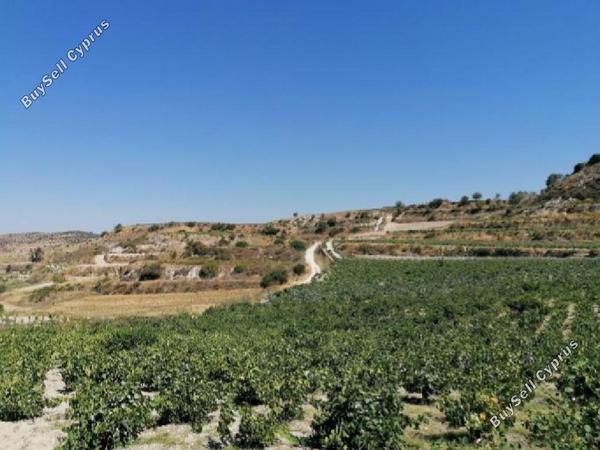 land for sale pachna limassol 954688 image 15603508