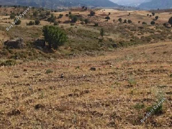 land for sale kelokedara paphos 8628788 image 16717595