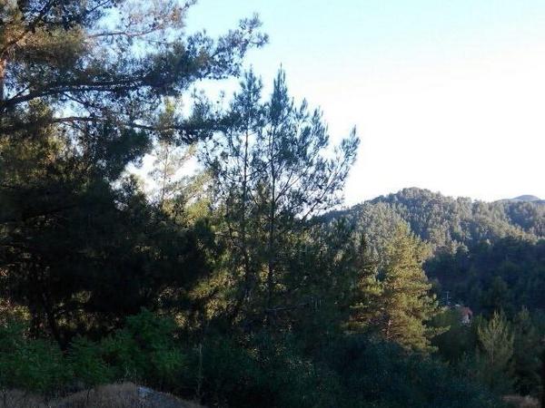 land for sale moniatis limassol 7739788 image 12172690