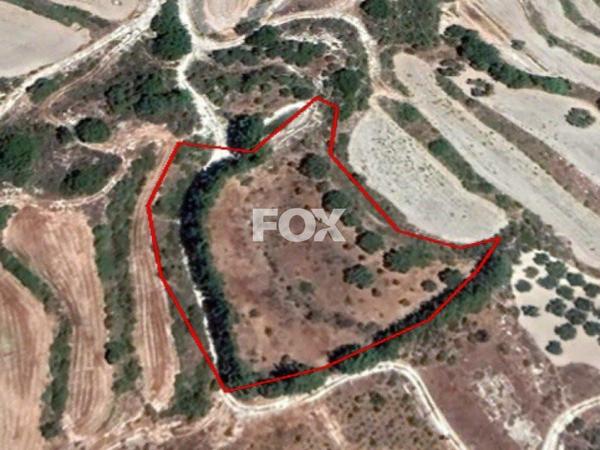 land for sale stroumbi paphos 1160788 image 10031262