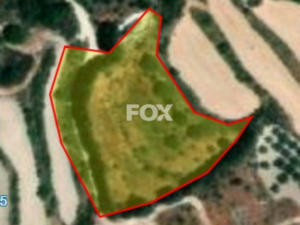 land for sale stroumbi paphos 1160788 image 10031265