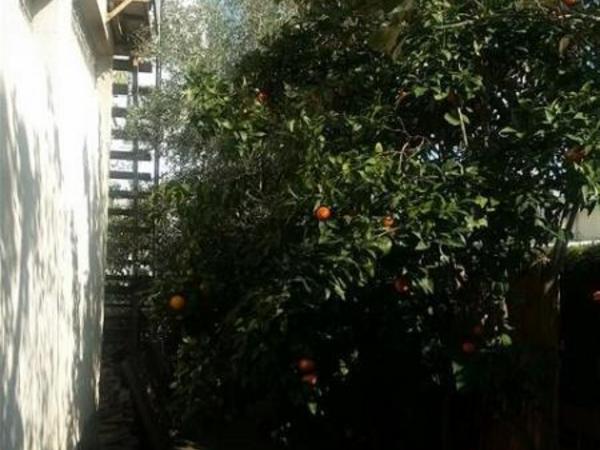 3 bedroom detached house for sale kaimakli nicosia 1062888 image 16167321