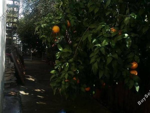3 bedroom detached house for sale kaimakli nicosia 1062888 image 16167323