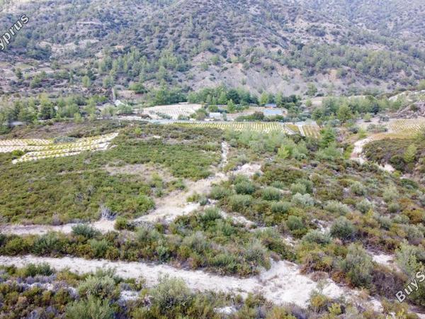 land for sale agios mamas limassol 1628888 image 4964558