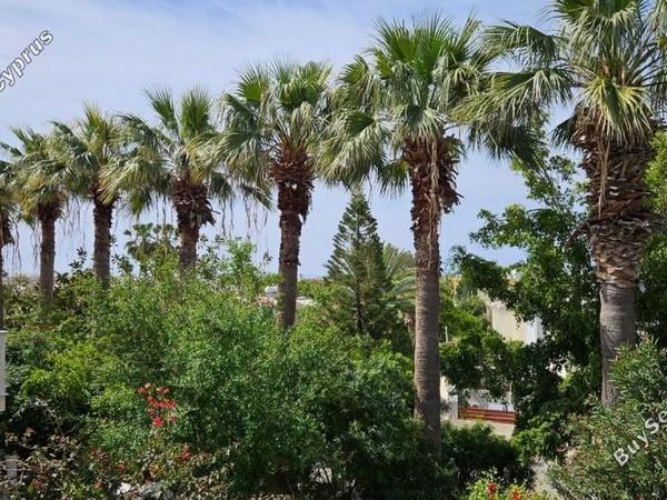 3 bedroom semi detached house for sale tombs of the kings paphos 7738988 image 14185584