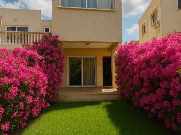 3 bedroom semi detached house for sale tombs of the kings paphos 7738988 image 16798711