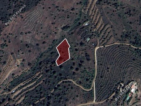 land for sale agios epifanios oreinis nicosia 1341988 image 6818688