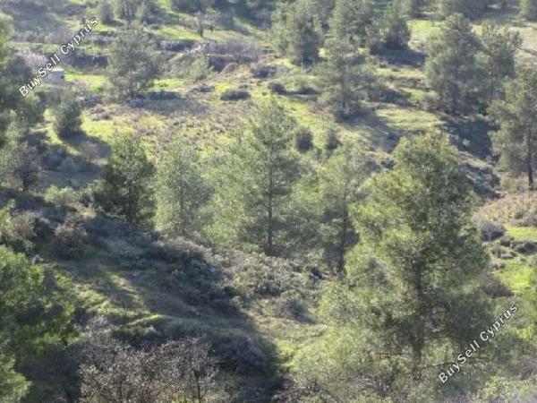 land for sale agios epifanios oreinis nicosia 1341988 image 6818689