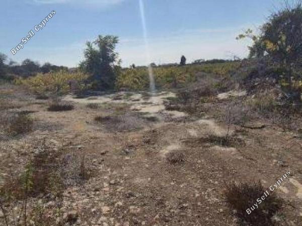 land for sale kathikas paphos 8531988 image 16277397