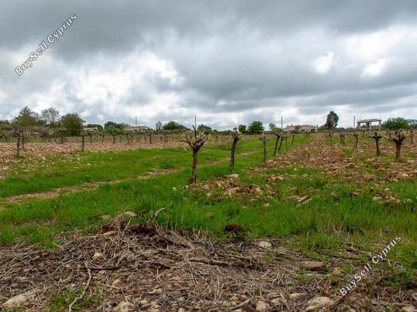 land for sale kathikas paphos 8531988 image 16277399