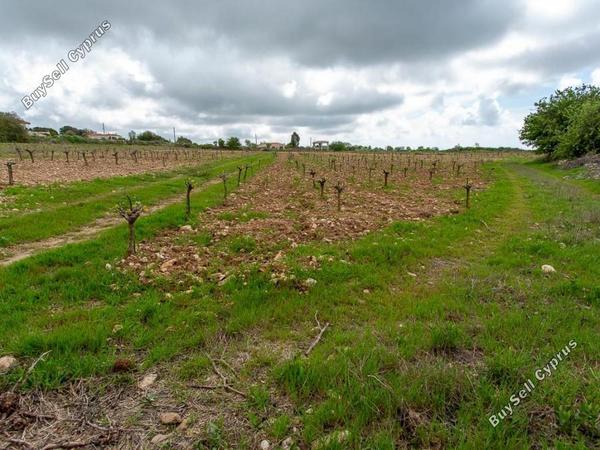 land for sale kathikas paphos 8531988 image 16277400