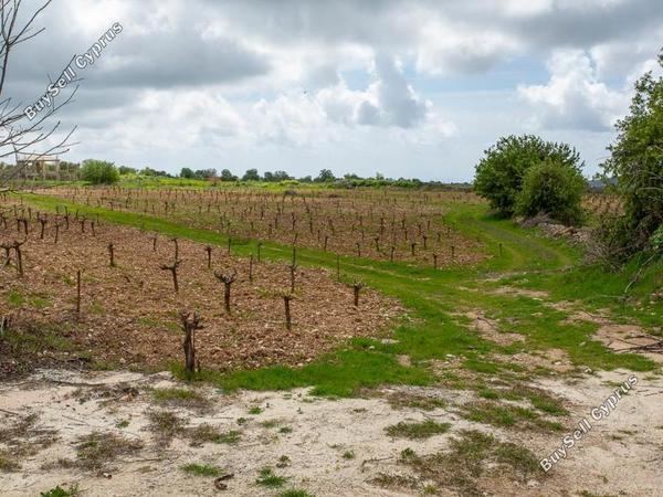 land for sale kathikas paphos 8531988 image 16277403