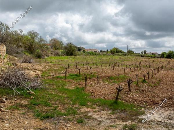 land for sale kathikas paphos 8531988 image 16277404