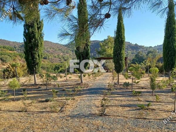 land for sale kellaki limassol 8669988 image 16022807