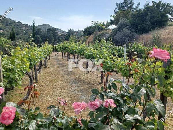 land for sale kellaki limassol 8669988 image 16022809