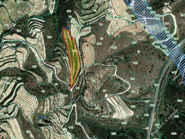 land for sale koili paphos 8791988 image 16690165