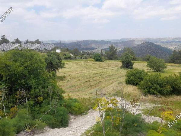land for sale psevdas larnaca 8457988 image 16632635
