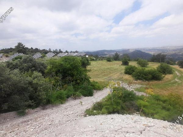 land for sale psevdas larnaca 8457988 image 16632638