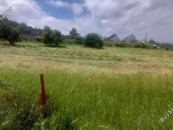 land for sale psevdas larnaca 8457988 image 16632640