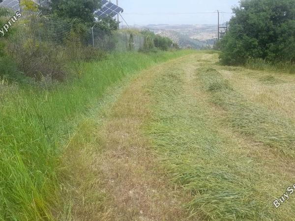 land for sale psevdas larnaca 8457988 image 16632642