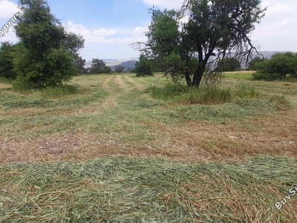 land for sale psevdas larnaca 8457988 image 16632643