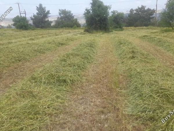 land for sale psevdas larnaca 8457988 image 16632645