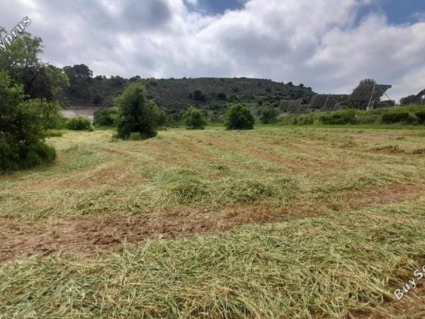 land for sale psevdas larnaca 8457988 image 16632646