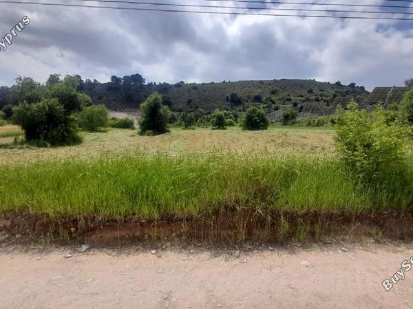 land for sale psevdas larnaca 8457988 image 16632650