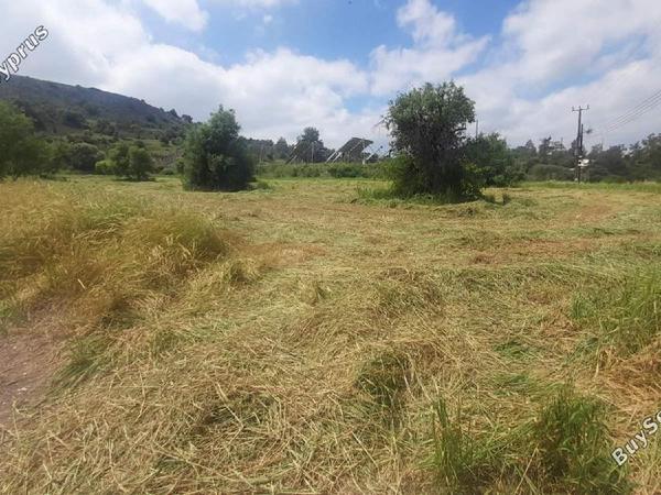 land for sale psevdas larnaca 8457988 image 16632652