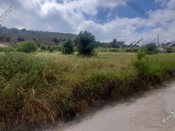land for sale psevdas larnaca 8457988 image 16632653