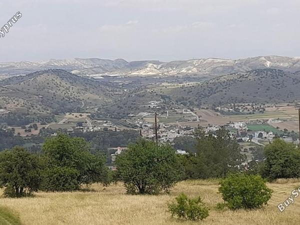 land for sale psevdas larnaca 8457988 image 16632654