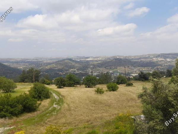 land for sale psevdas larnaca 8457988 image 16632657