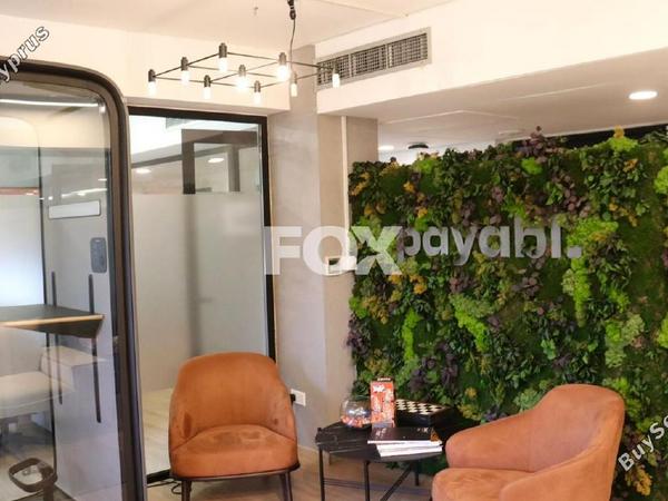 studio office for rent limassol municipality limassol 7879988 image 14599465