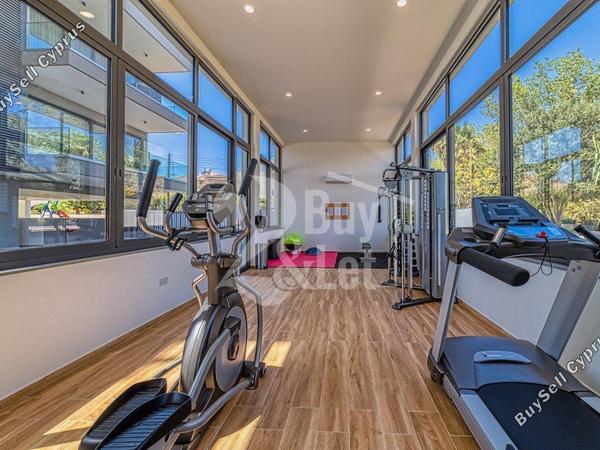 2 bedroom apartment for rent mesa gitonia limassol 8356098 image 14960744