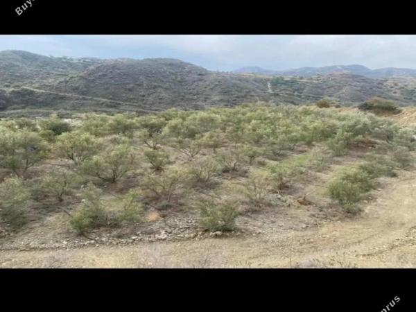 land for sale prastio kellakiou limassol 1570098 image 16192997