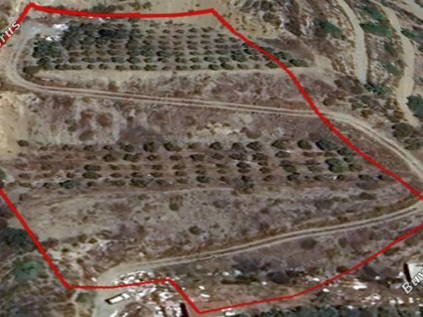 land for sale prastio kellakiou limassol 1570098 image 16192998