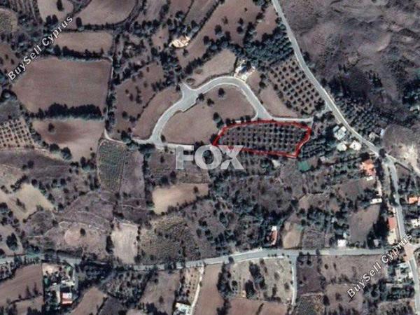 plot for sale lasa paphos 1159098 image 5517465