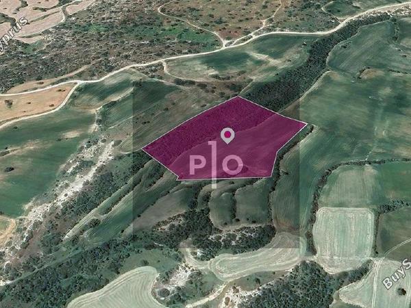 land for sale agios theodoros larnacas larnaca 8275198 image 15158253