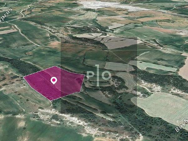 land for sale agios theodoros larnacas larnaca 8275198 image 15158254