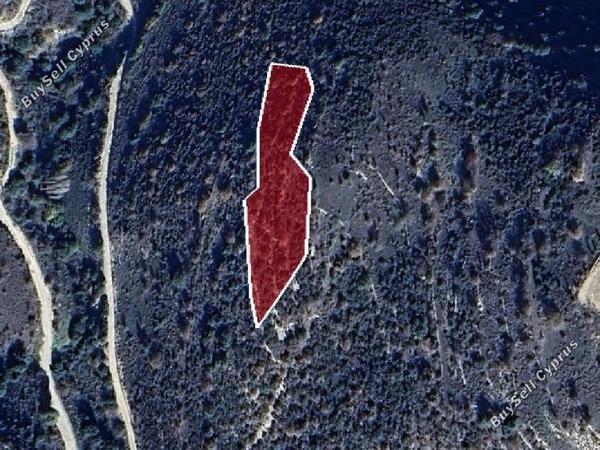 land for sale dora limassol 1270198 image 15599690