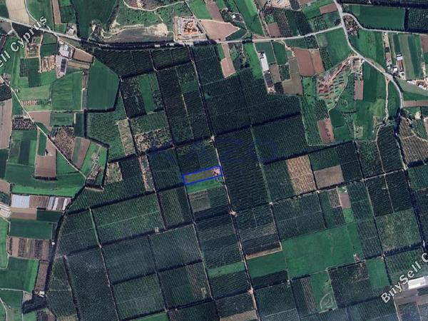 land for sale kolossi limassol 7981198 image 11685145