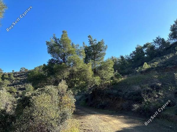 land for sale lythrodontas nicosia 1936198 image 15597179