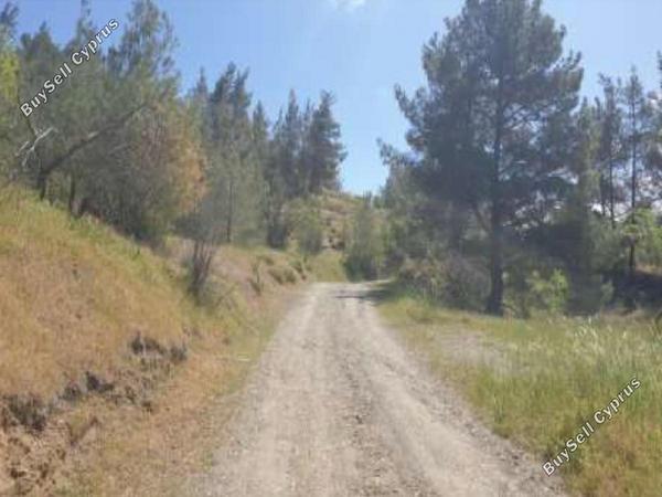 land for sale xyliatos nicosia 8716198 image 16294989