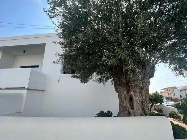studio office for rent limassol municipality limassol 8753198 image 16508464